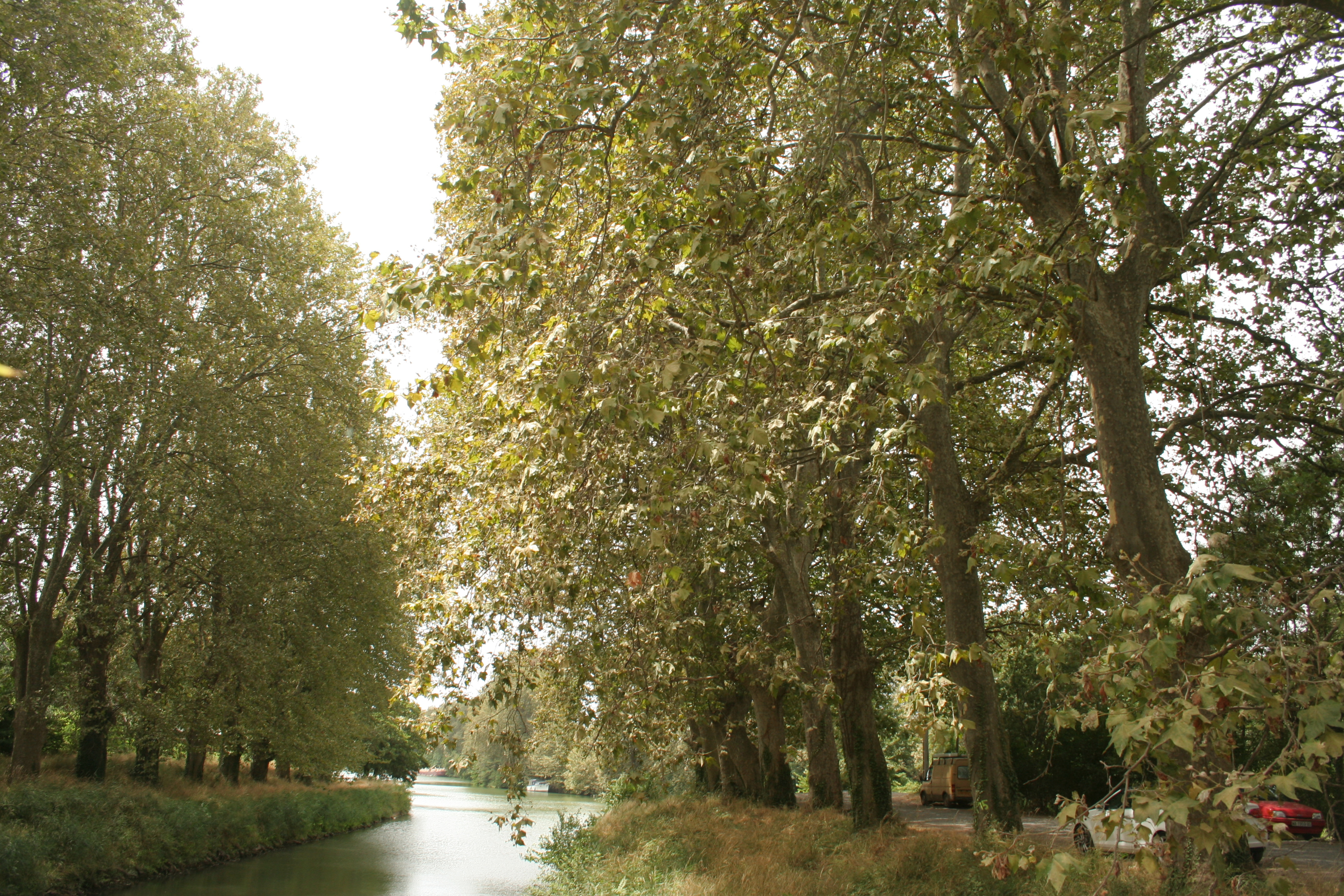 vakantie 2009 a-045.jpg